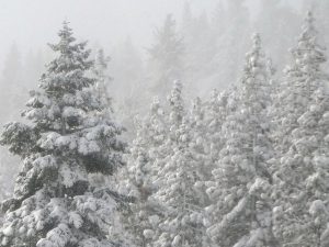 giorno del ringraziamento neve usa