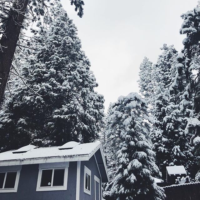 giorno del ringraziamento neve usa
