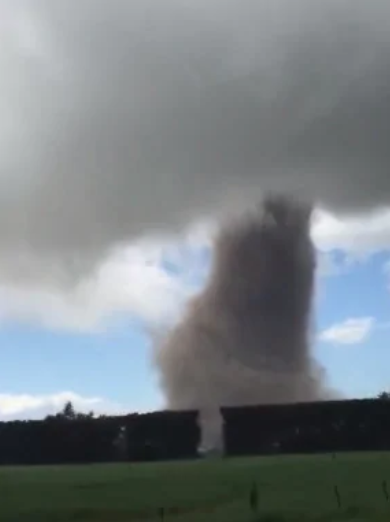 tornado nuova zelanda