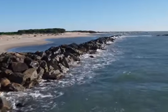 Camargue