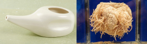 Irrigatore nasale ameba mangia-cervello 2
