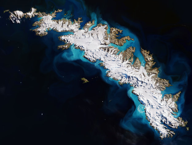 Isola Georgia del Sud