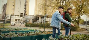 Orto ecosostenibile
