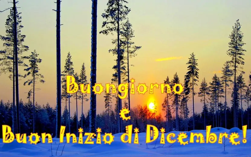 Buongiorno e Buon 1° Dicembre! IMMAGINI e FRASI originali