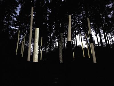 foresta piegaro