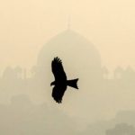 India, i vigili del fuoco combattono l’inquinamento atmosferico a Nuova Delhi: livelli 13 volte la soglia di sicurezza [FOTO]