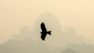 inquinamento aria nuova delhi (1)