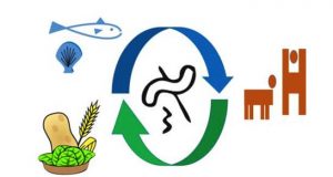 microbioma enea