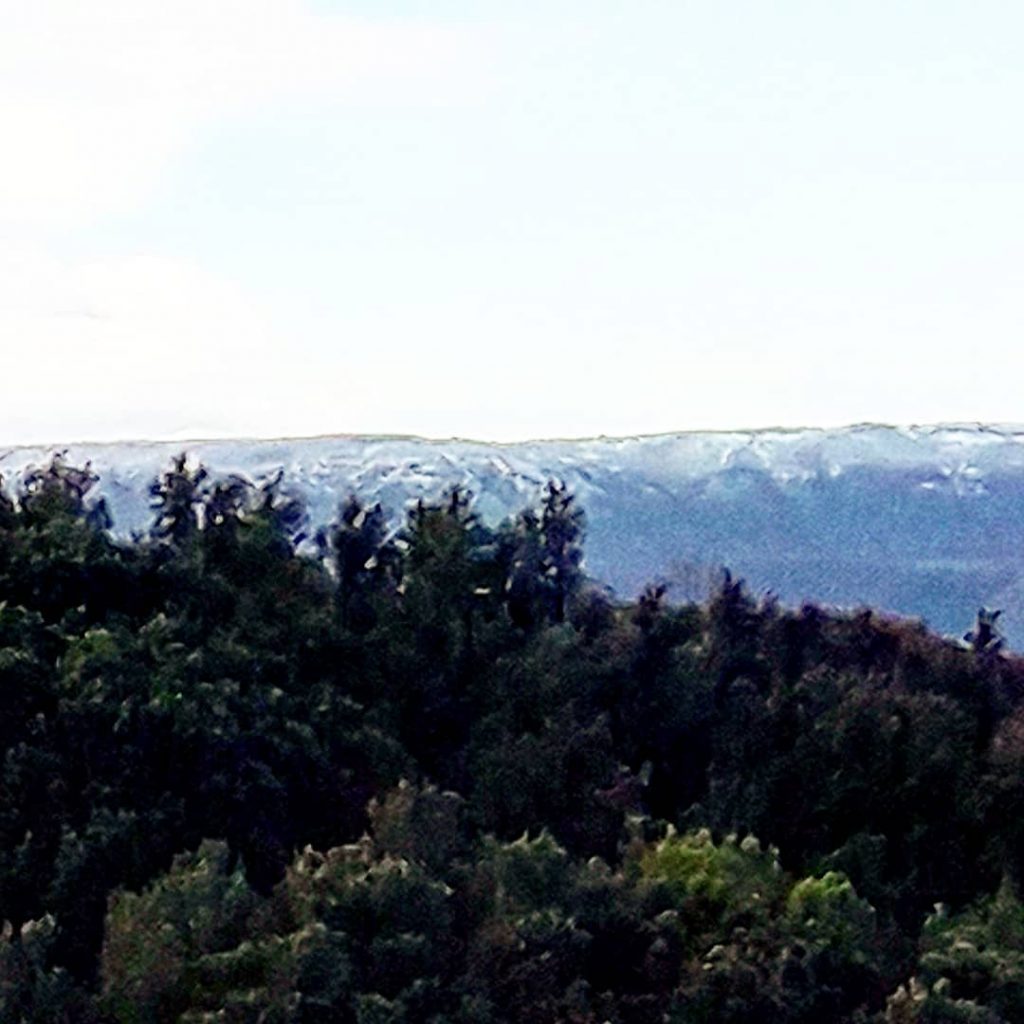 neve gargano