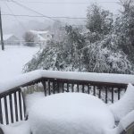 Maltempo USA, intensa tempesta di neve e ghiaccio dalla Carolina del Nord alla Virginia: 1 vittima, oltre 500 incidenti e blackout [FOTO]
