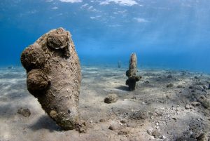 pinna nobilis parassita