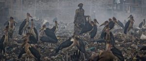 rifiuti africa clima