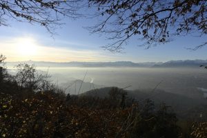 inquinamento torino
