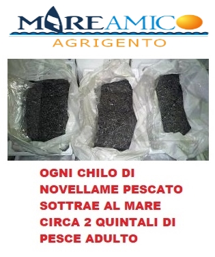 Agrigento novellame