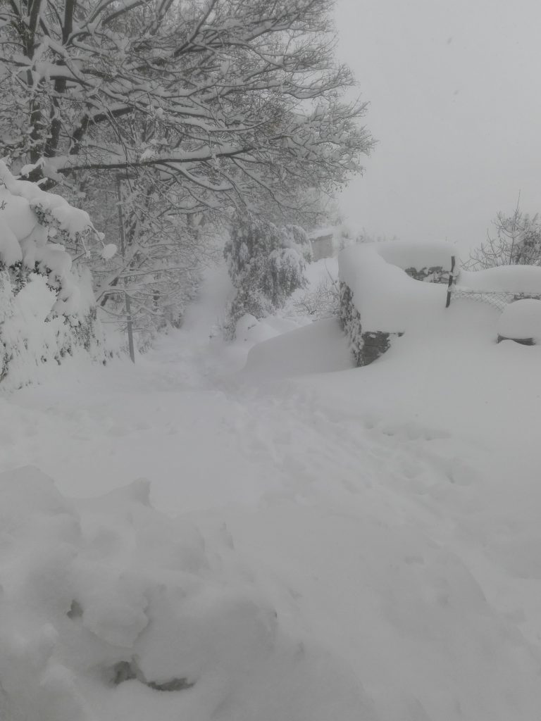 Belmonte del Sannio