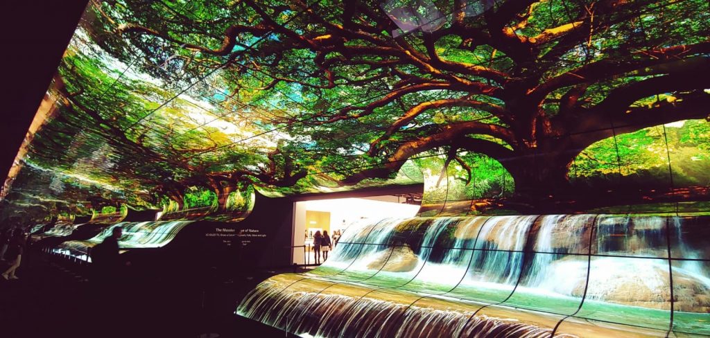 cascate LG CES Las Vegas