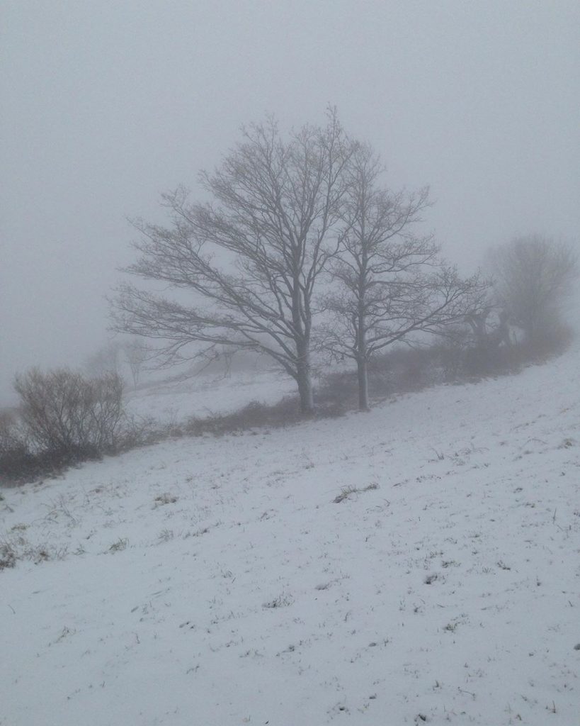 capracotta