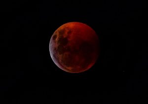 eclissi luna 21 gennaio 2019