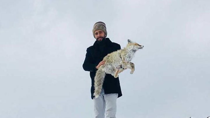 freddo turchia animali congelati