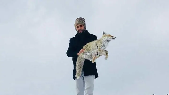 freddo turchia animali congelati