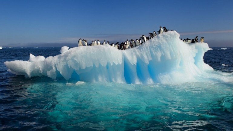 ghiaggio-antartide-pinguini-riscaldamento-globale