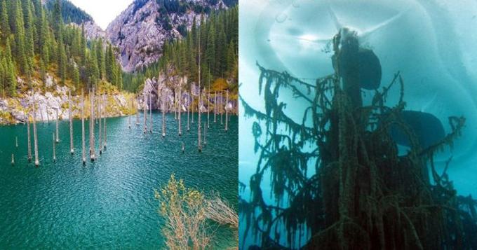lago kaindy kazakistan