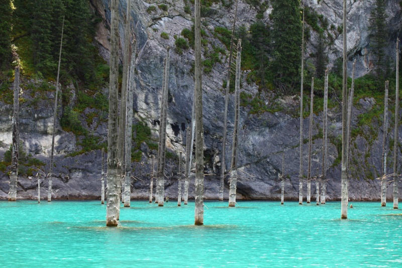 lago kaindy kazakistan