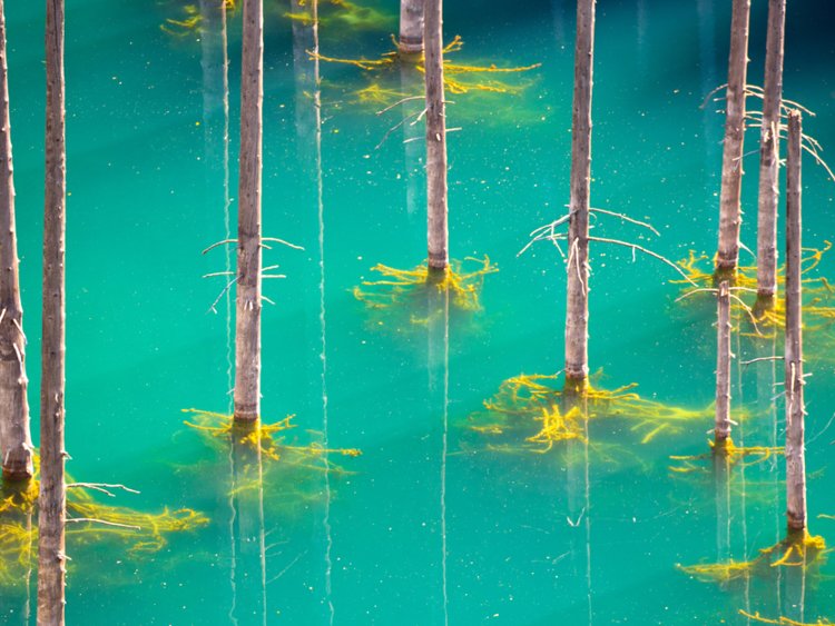 lago kaindy kazakistan