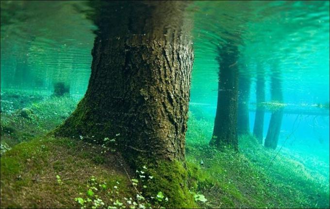 lago kaindy kazakistan