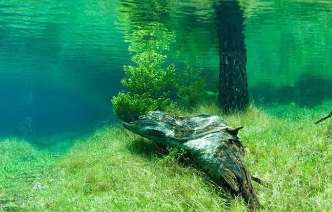 lago kaindy kazakistan