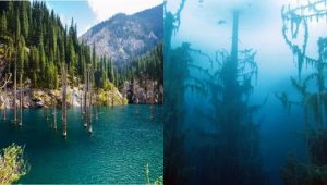 lago kaindy kazakistan