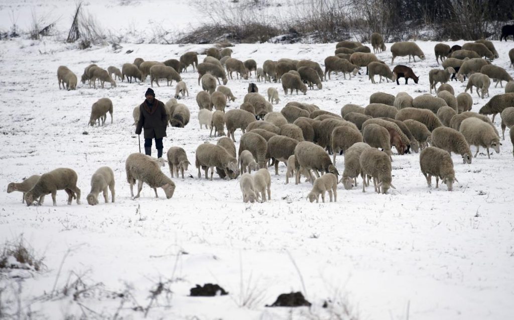 maltempo neve europa