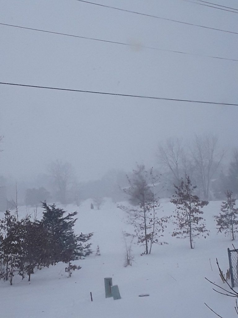 maltempo neve usa