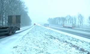 neve francia