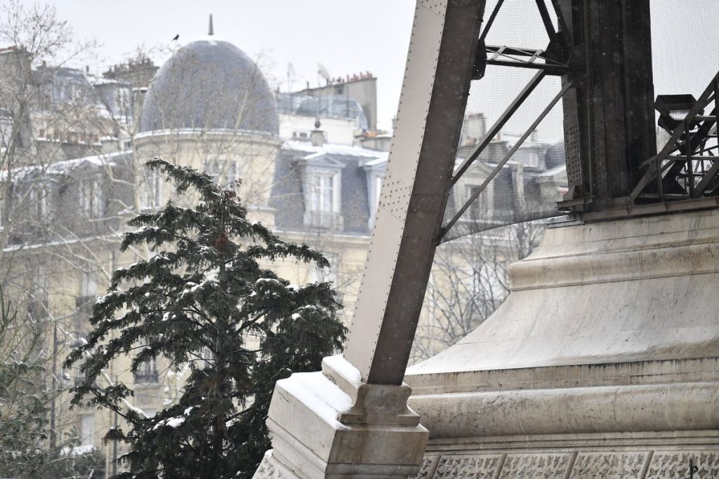 neve francia