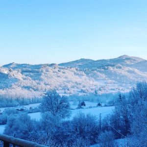 neve