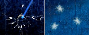 optogenetica-luce-neuroni-nervi