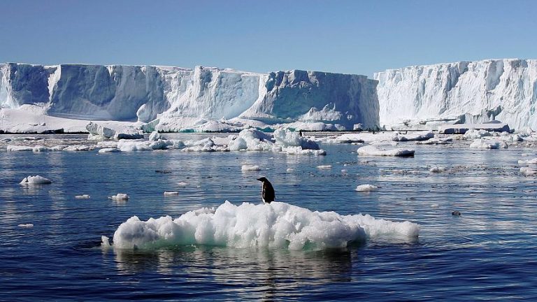 pinguino-antartide-riscaldamento globale