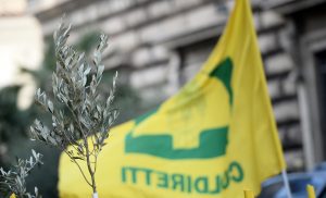 Ministero delle Politiche Agricole. Manifestazione di Coldiretti