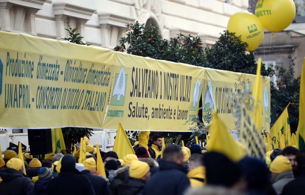 Ministero delle Politiche Agricole. Manifestazione di Coldiretti