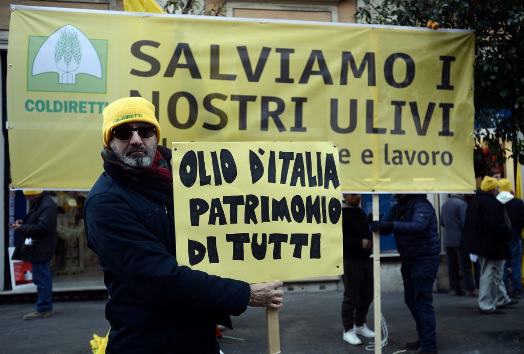 Ministero delle Politiche Agricole. Manifestazione di Coldiretti