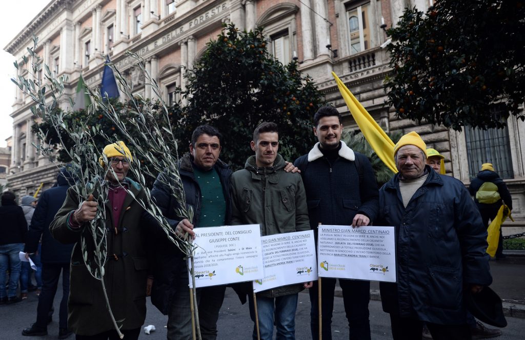Ministero delle Politiche Agricole. Manifestazione di Coldiretti