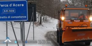 sr509 forca d'acero