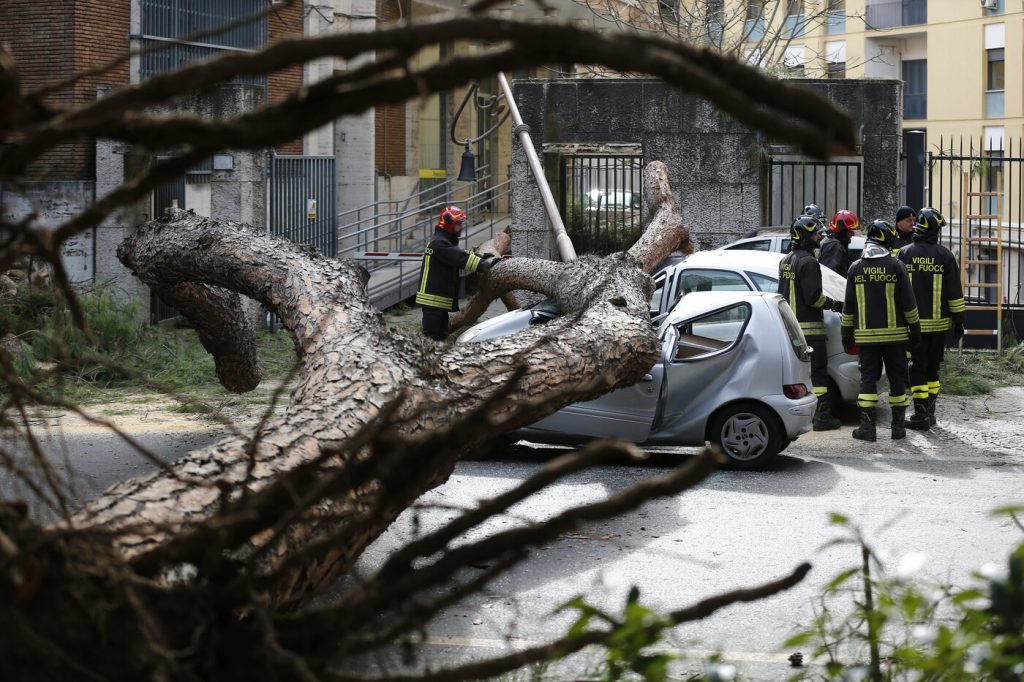 A causa del forte vento, un albero è caduto su due auto in Viale MazziniA causa del forte vento, un albero è caduto su due auto in Viale Mazzini
