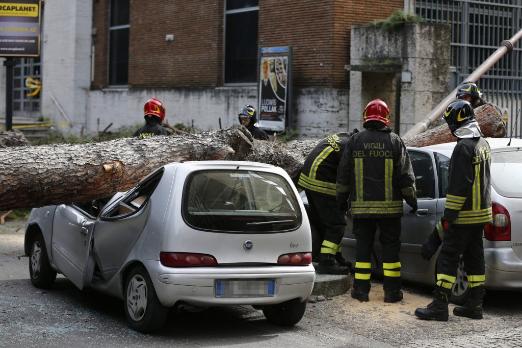A causa del forte vento, un albero è caduto su due auto in Viale MazziniA causa del forte vento, un albero è caduto su due auto in Viale Mazzini