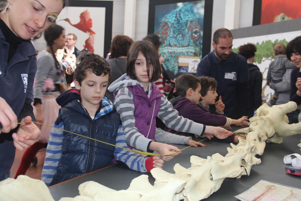 Bioparco Roma