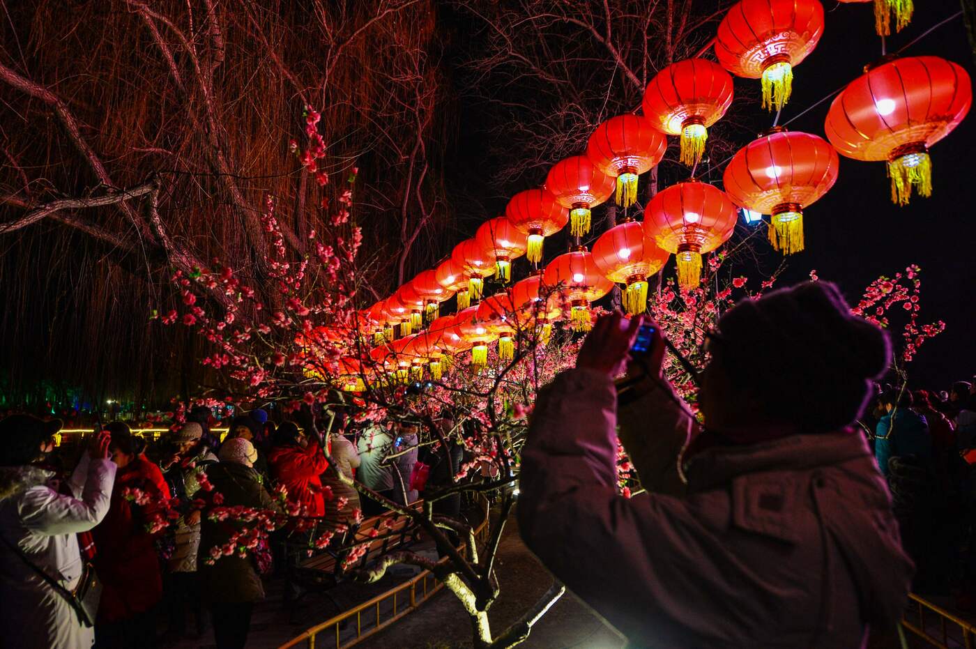 Cina, il Festival delle Lanterne