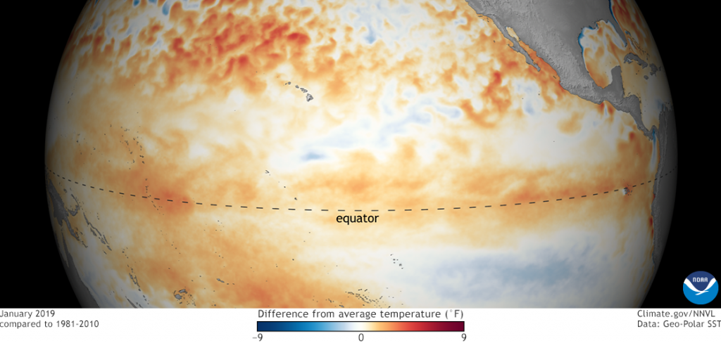 El Niño 2019