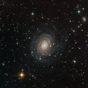 NGC 6902 SPECULOOS