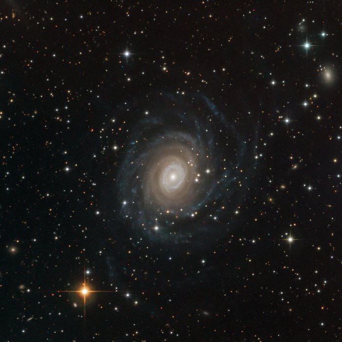 NGC 6902 SPECULOOS